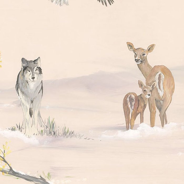 Forest Expedition