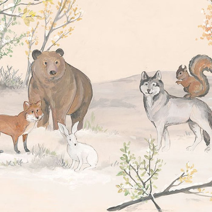 Forest Expedition