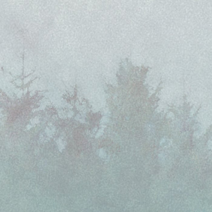 Hazy Hush