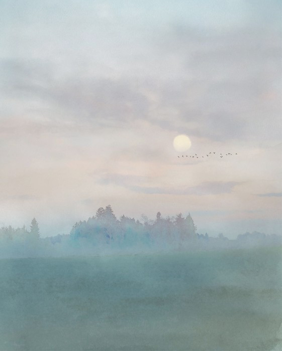 Hazy Hush