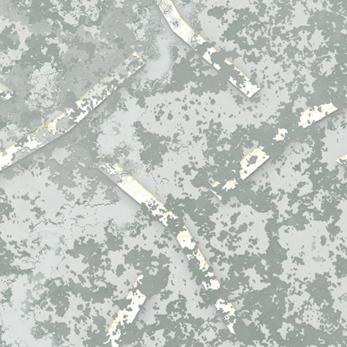 Obfuscated Ornament