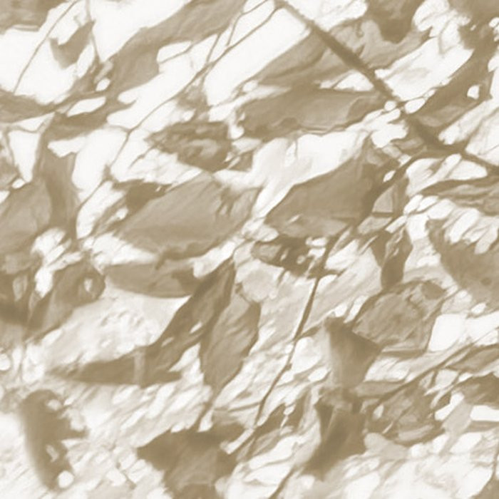 Bleached Birch