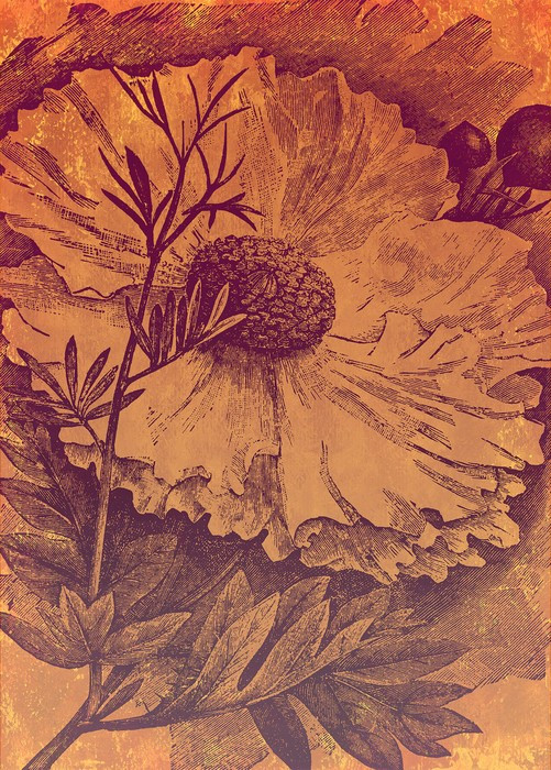 Harvest