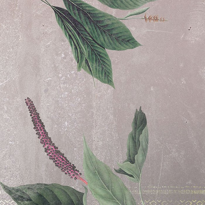 Tropic Concrete