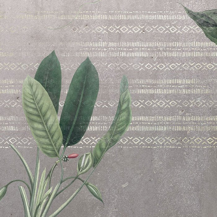 Tropic Concrete