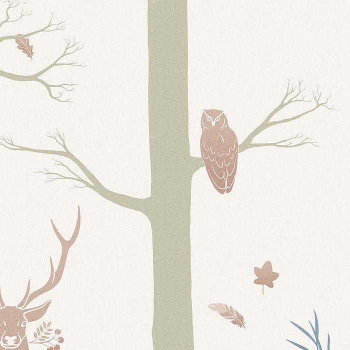 Forest Animals