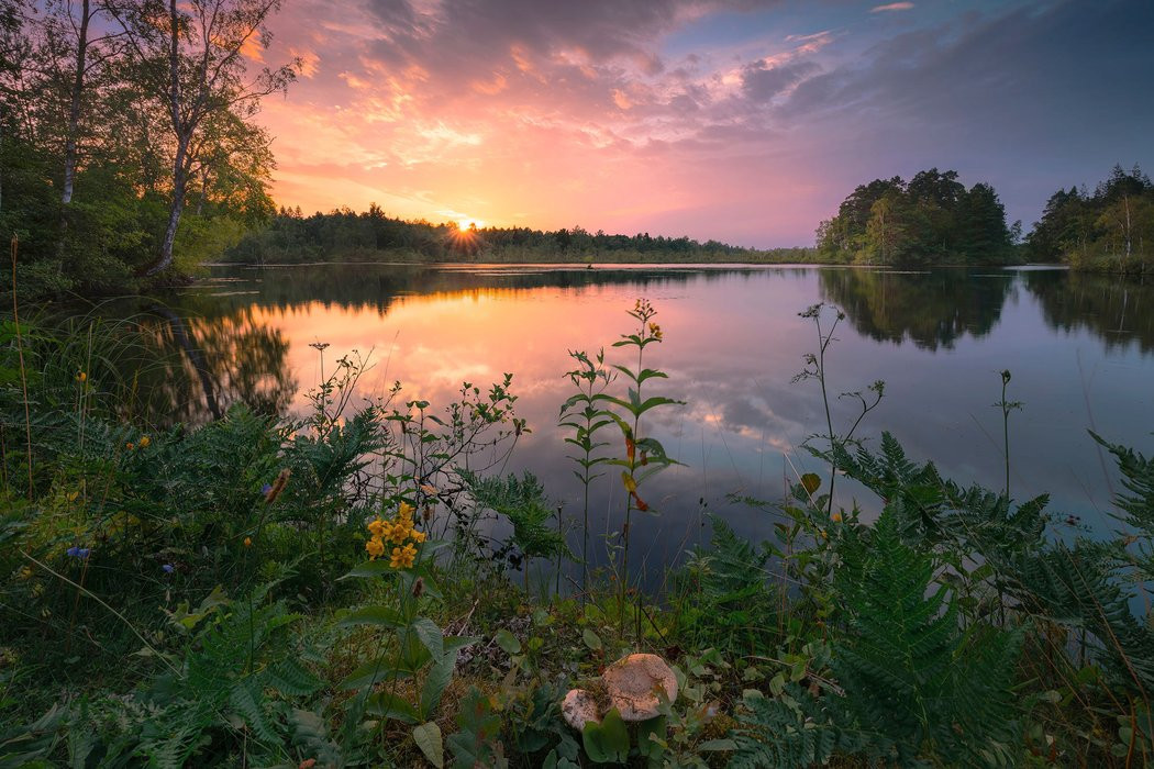 Abends in Schweden