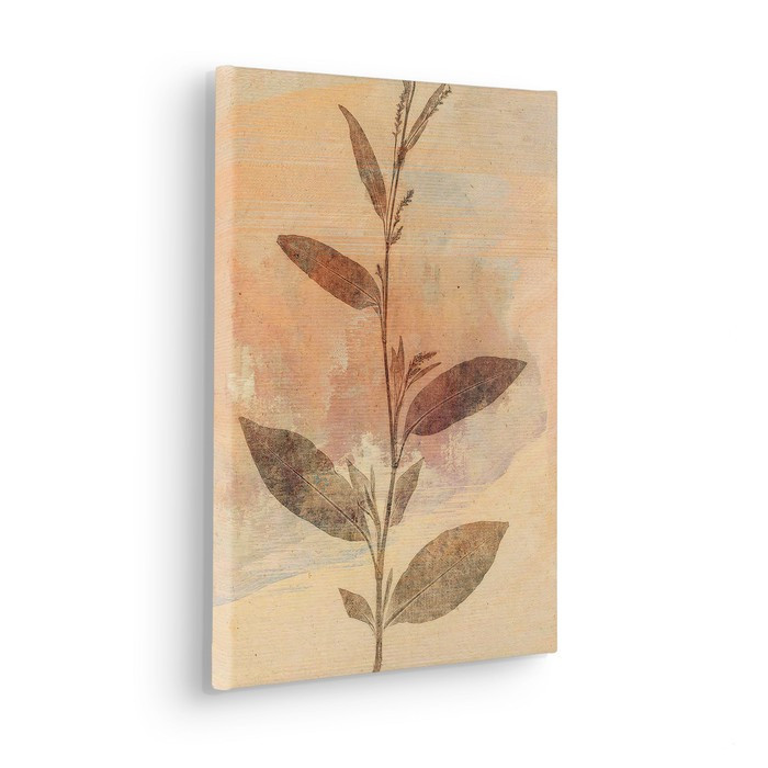 Pressed Leaves