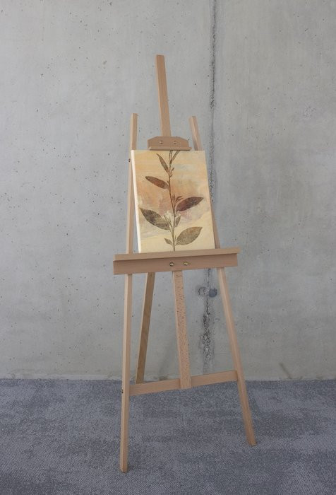Pressed Leaves