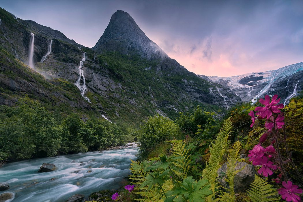 Scandinavian Paradise