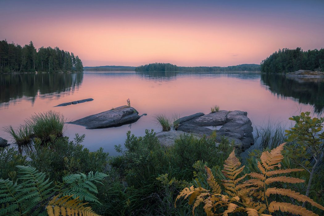 Swedish Blues
