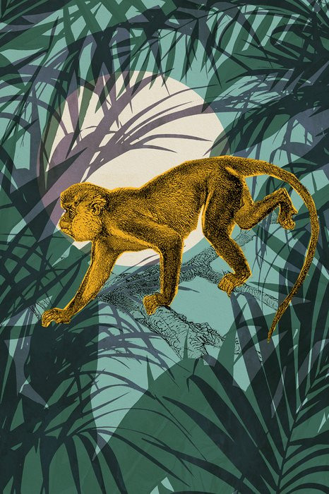 Sneaky Monkey