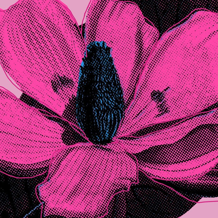 Pink Fusion