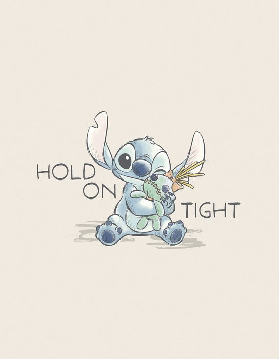 Disney Lilo and Stitch Hold On Tight