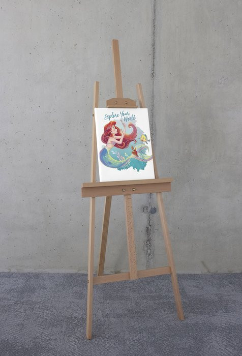 Disney Ariel Explore your World