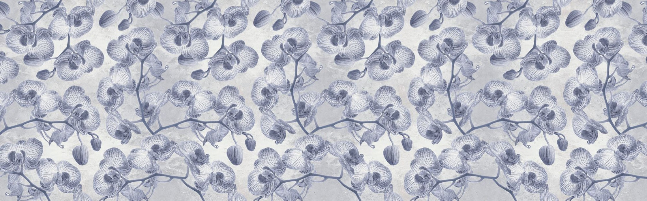 Orchidées