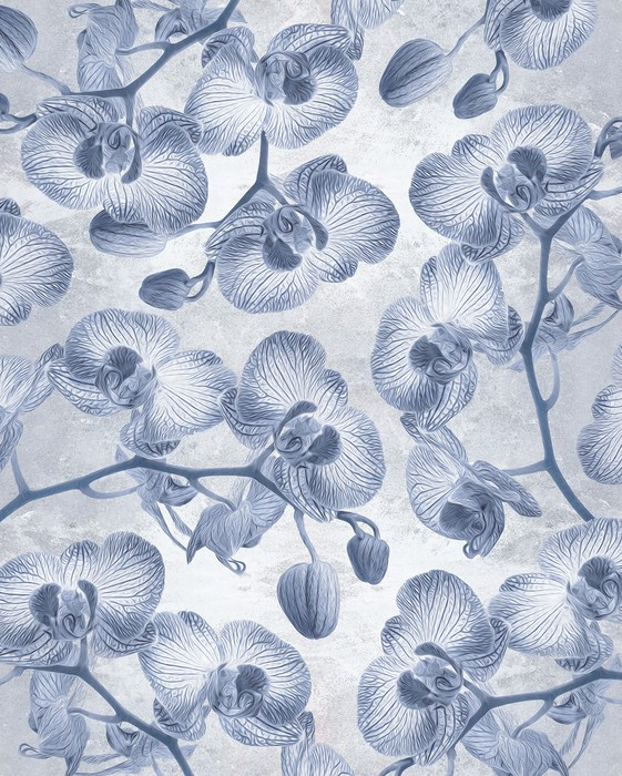 Orchidées