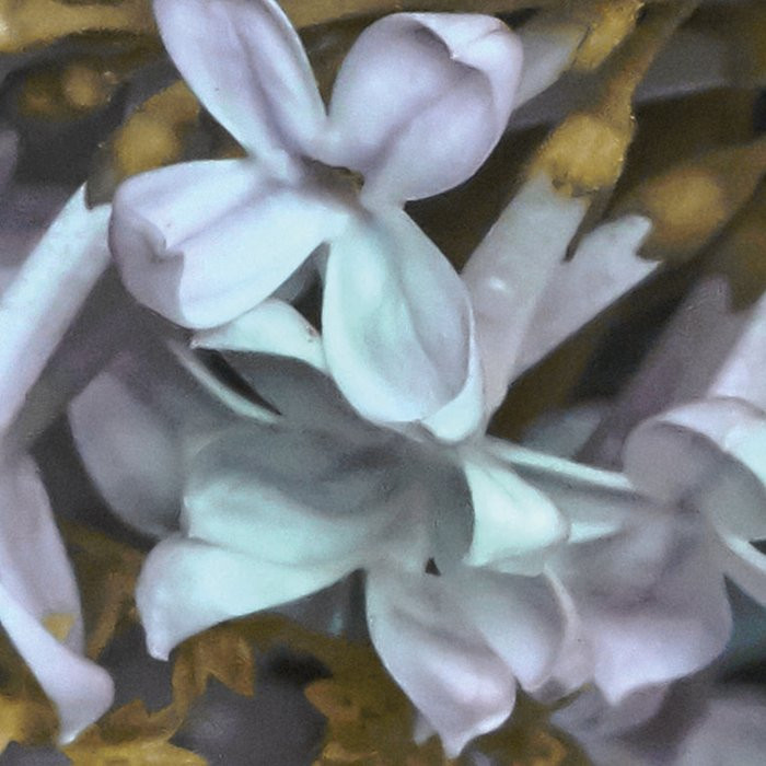 Gentle Bloom