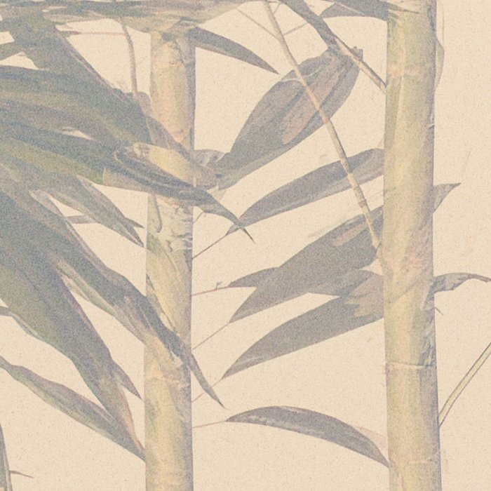 Bamboo Paradise