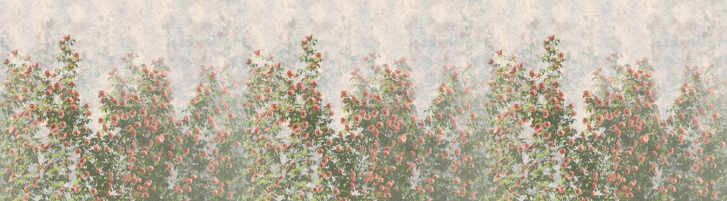 Wall Roses