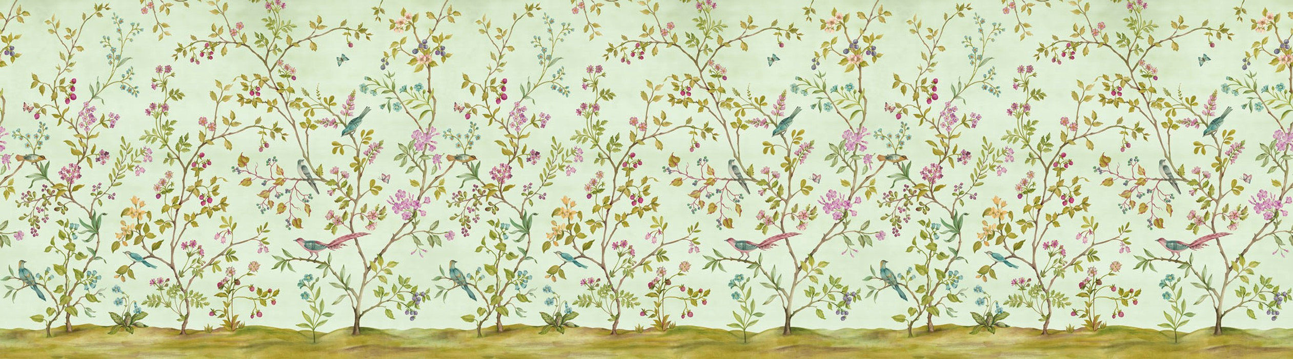 Oiseaux du Paradis