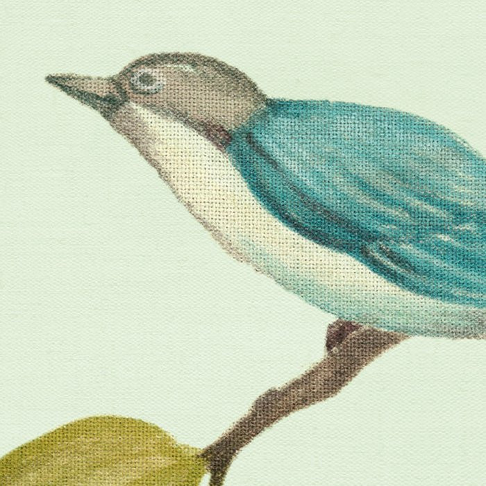 Oiseaux du Paradis