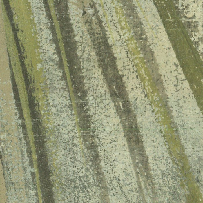 Palm Fronds