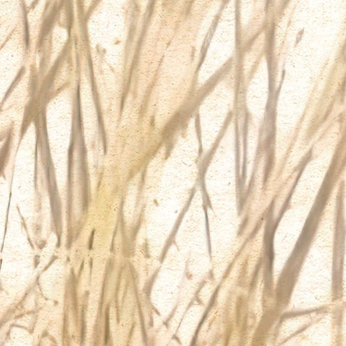 Dune Grass