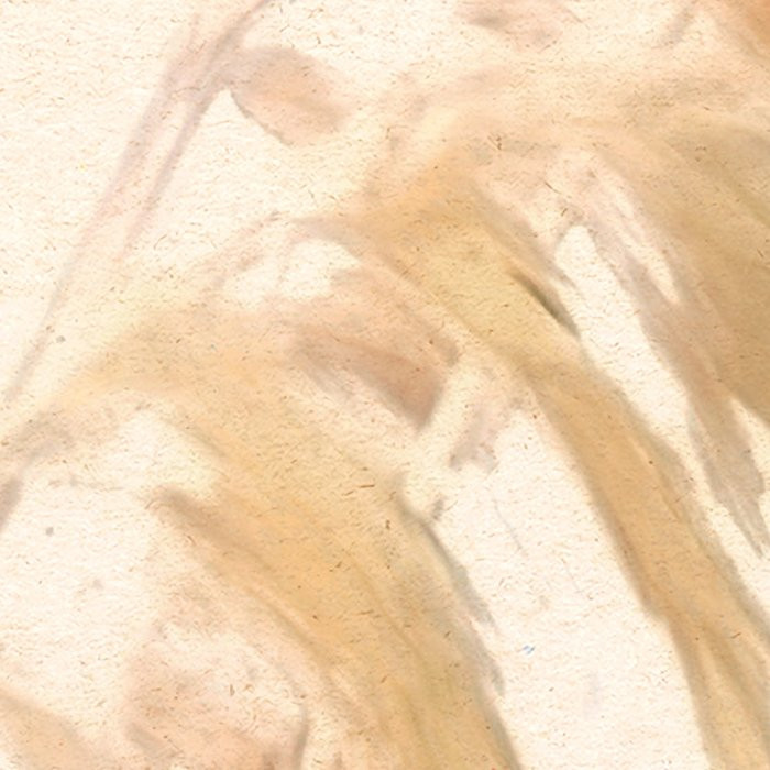 Dune Grass