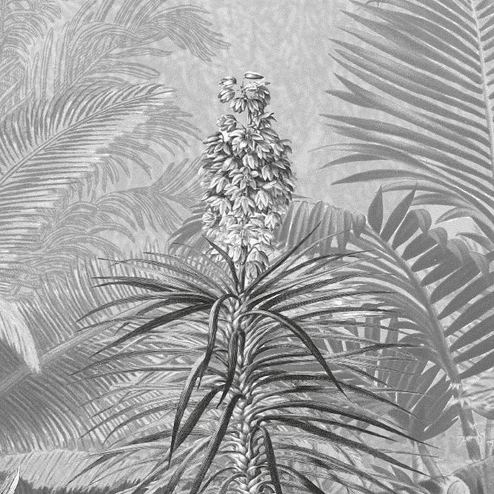 Amazonia Black and White
