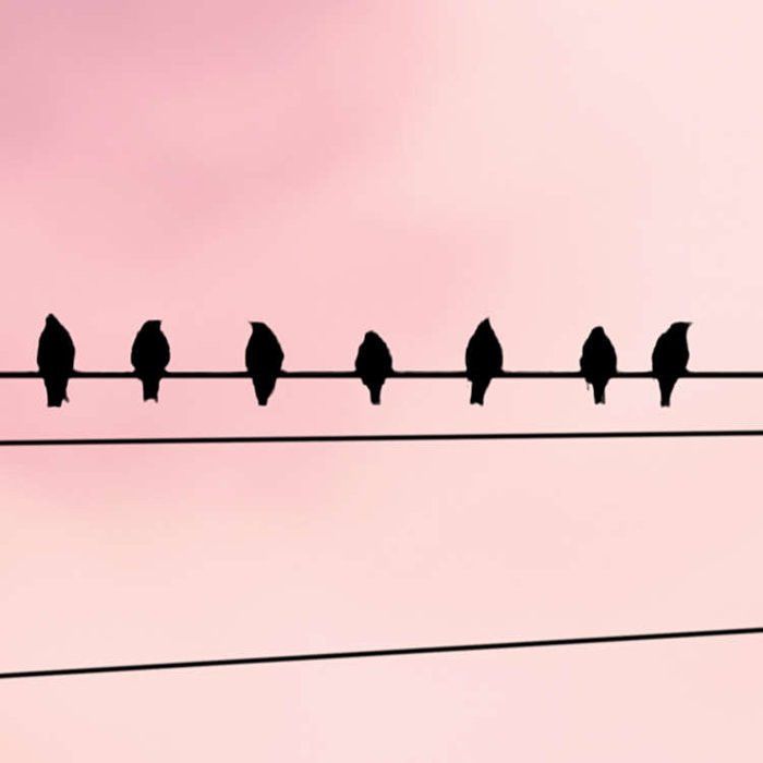Cloud Wire