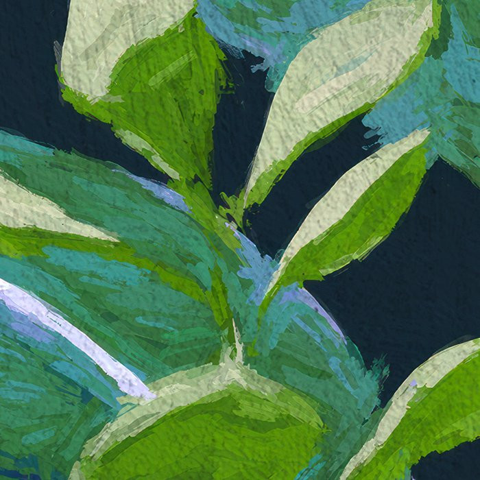 Colourful Leaves