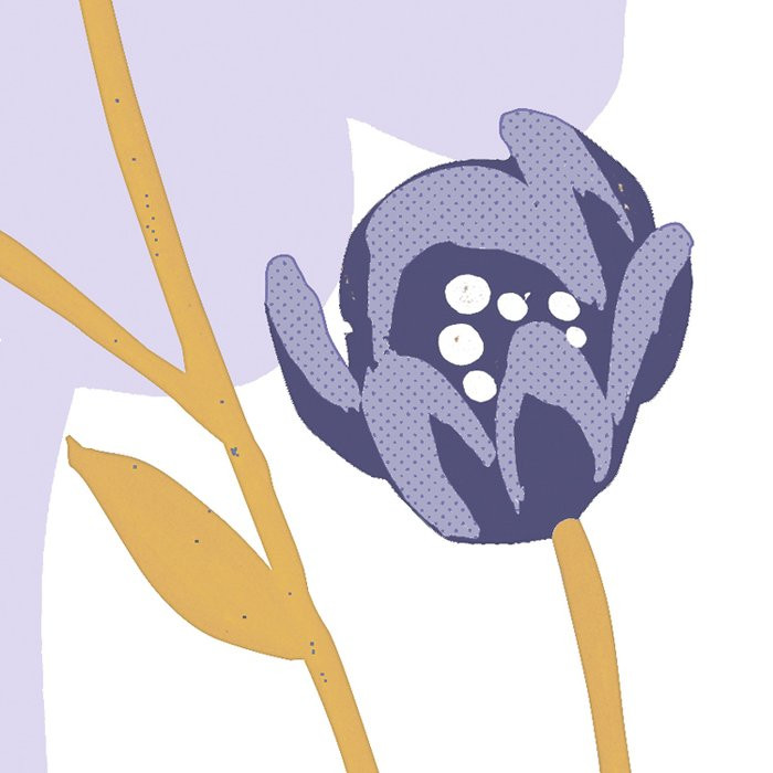 Bloomique