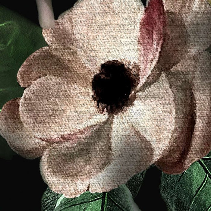 Victoria Black