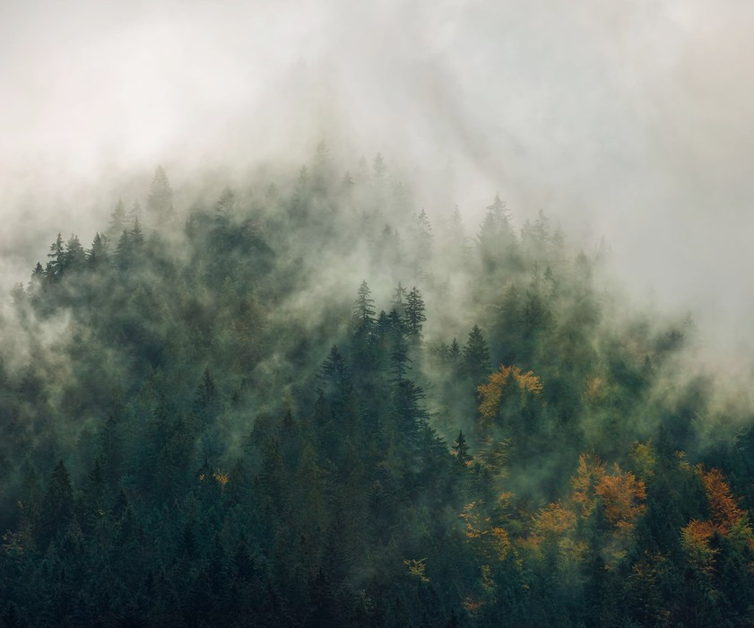 Tales of the Carpathians