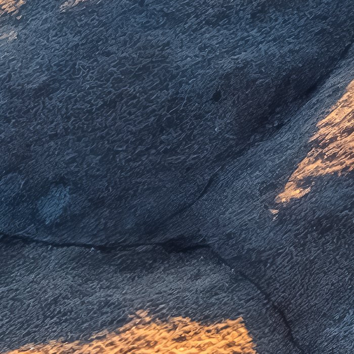 Elephant Skin