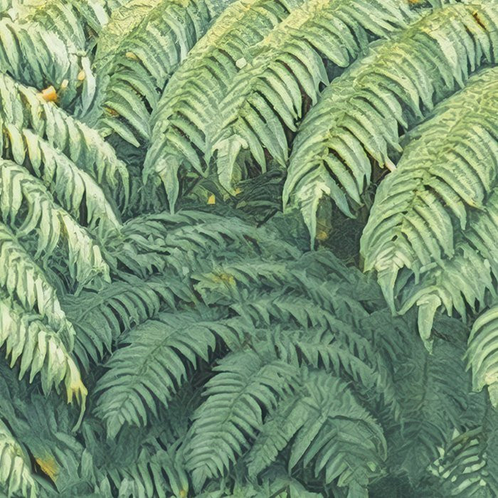 Jungle Lands