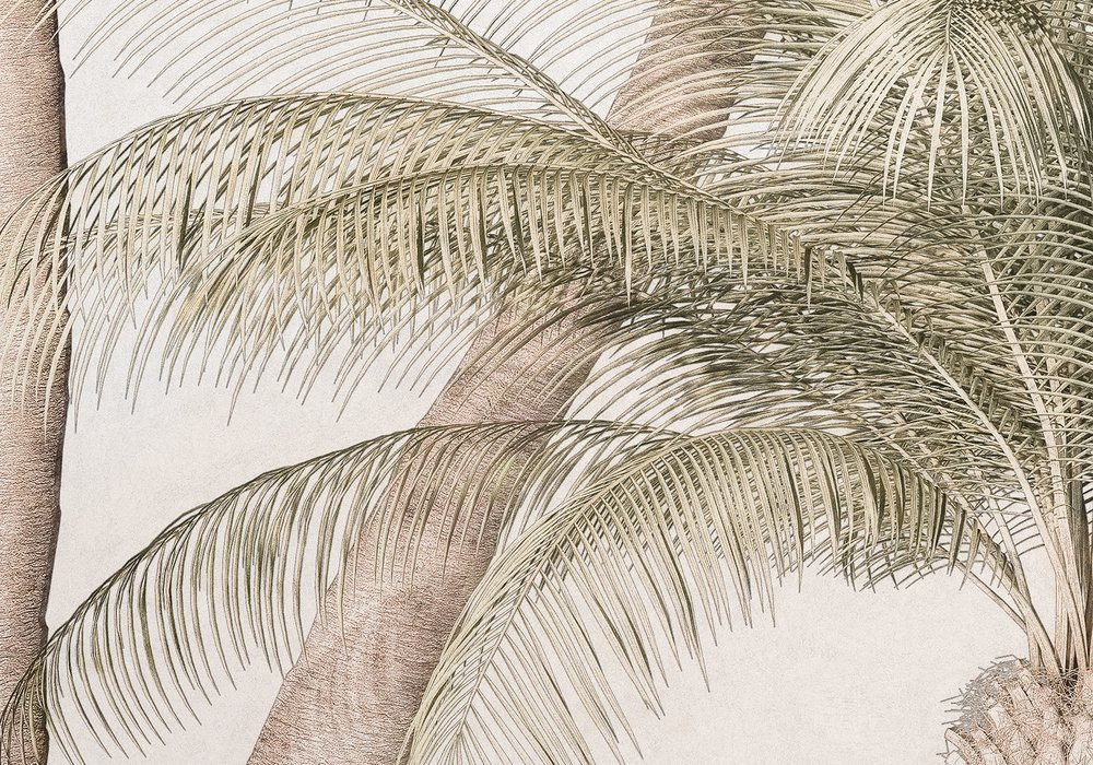 Palm Oasis