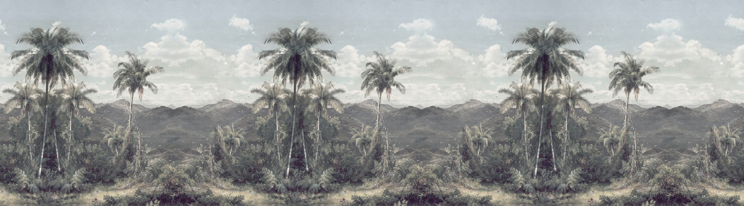 The Exotic Land