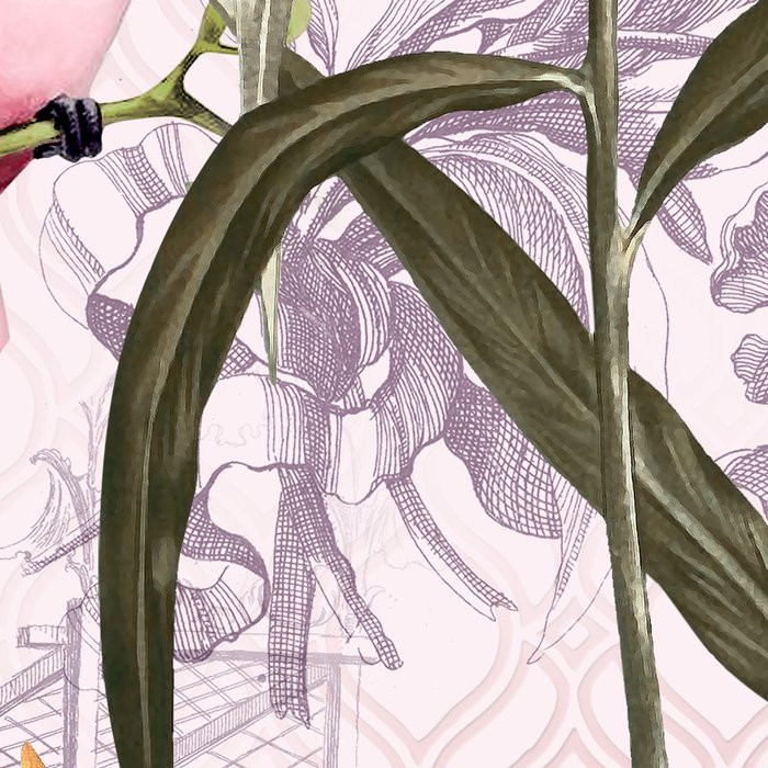 Tropicana