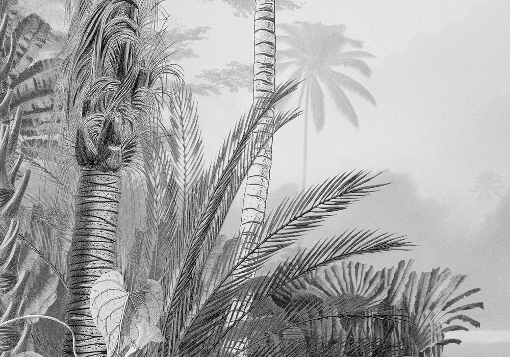 Lac Tropical Black & White