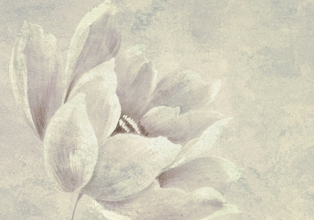 Water Lily
