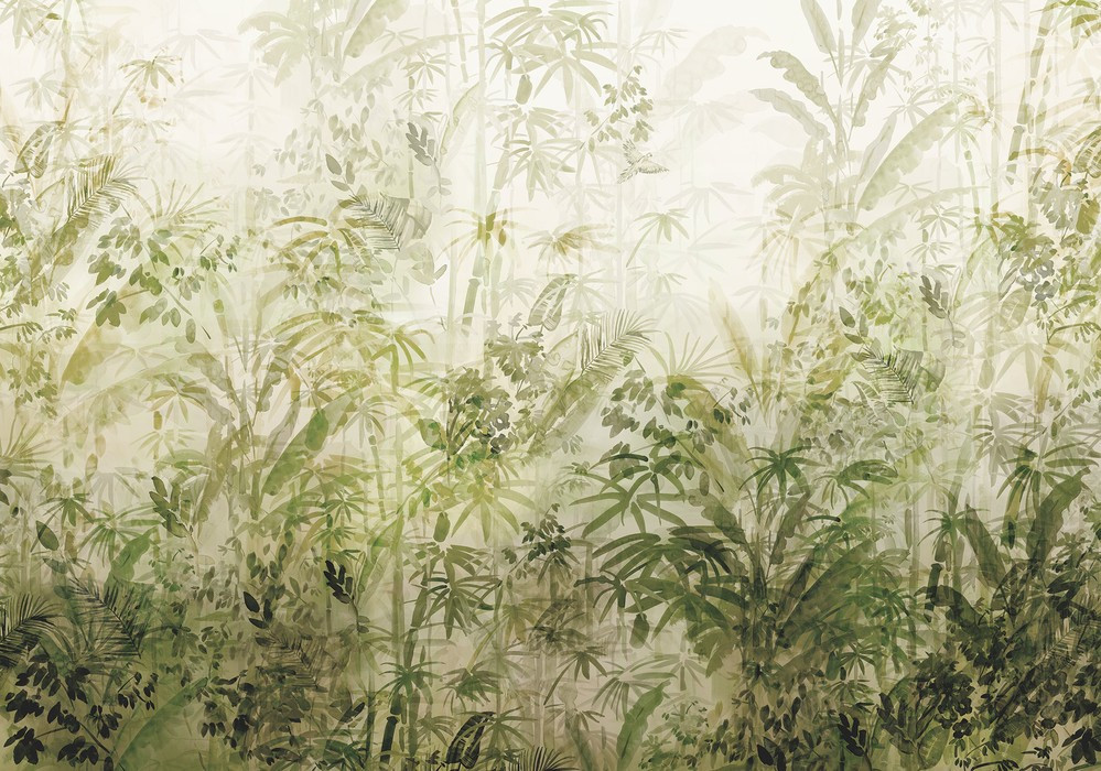 Wilderness