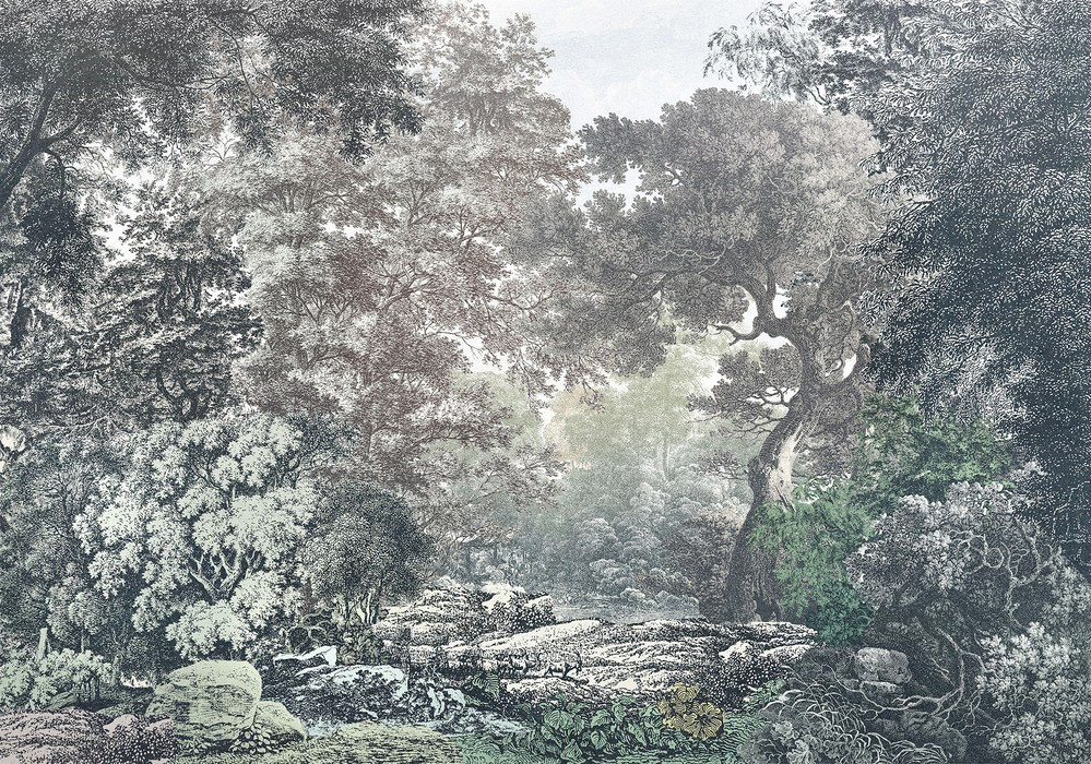 Fairytale Forest