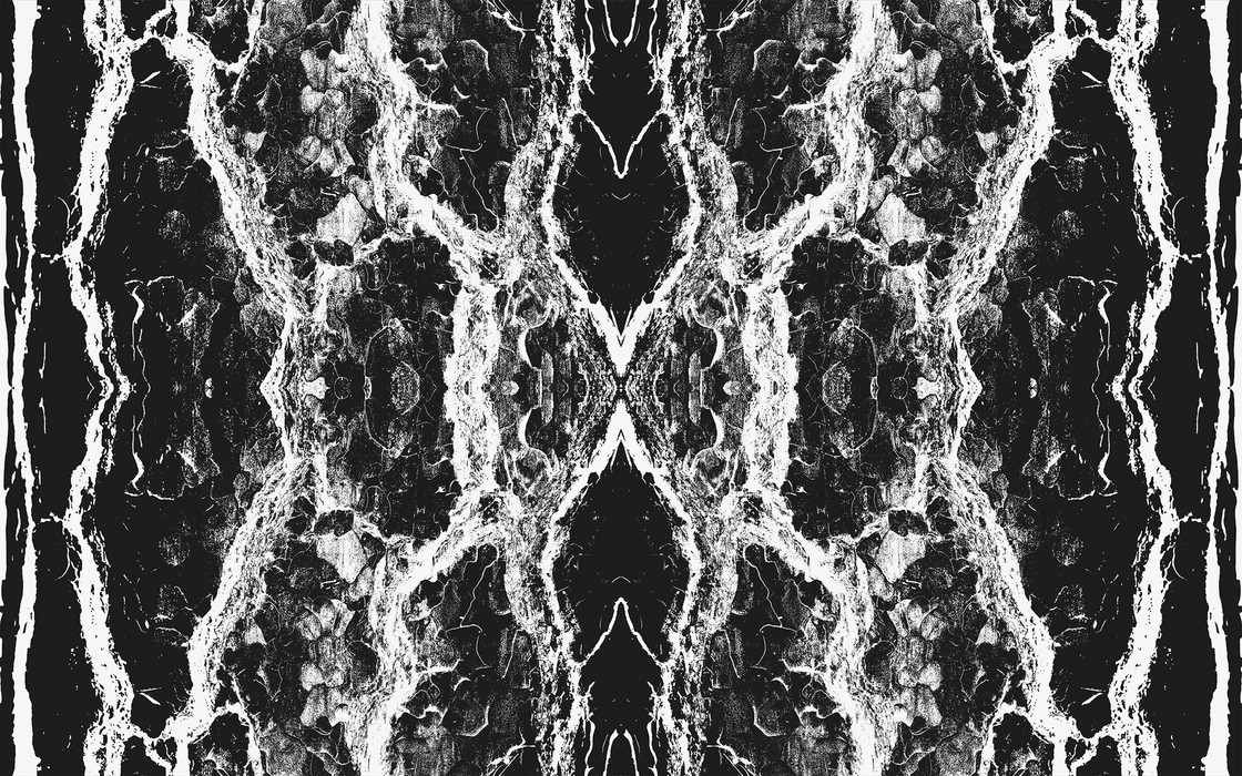 Oak Bark black-white