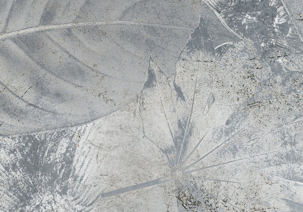 Flower Fossil