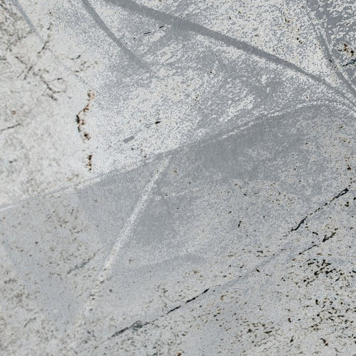 Flower Fossil