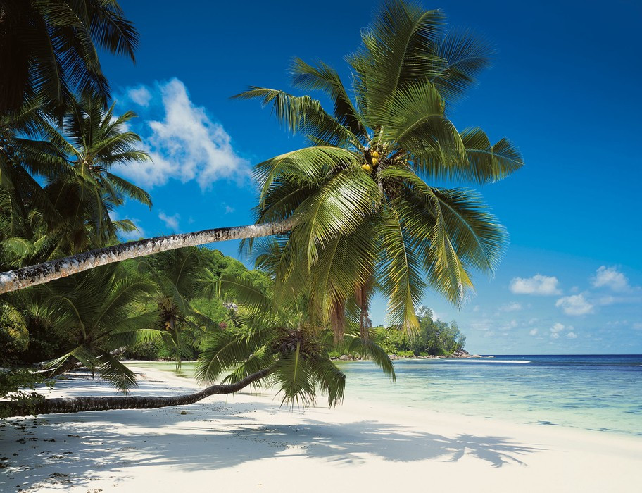 Coconut Bay