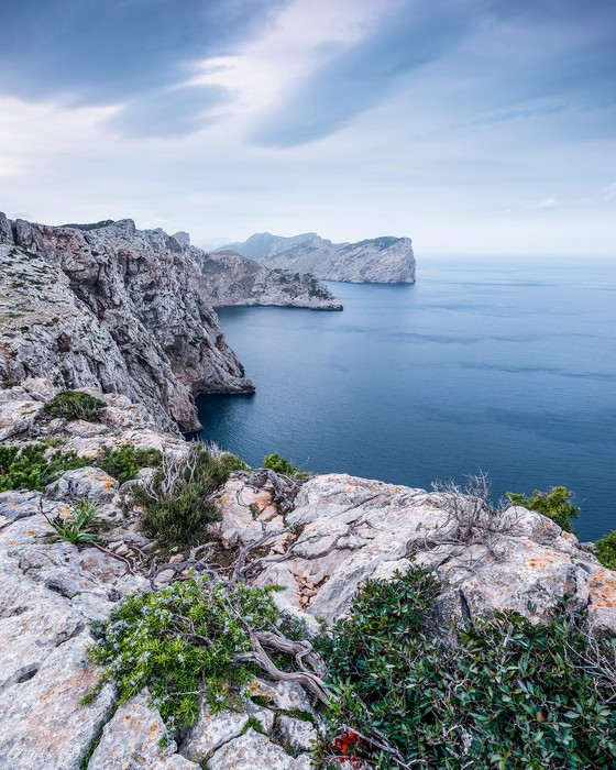 Bizarre Coast
