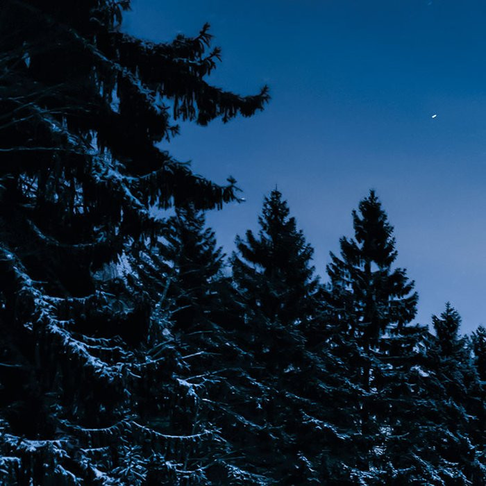 Glistening Stars